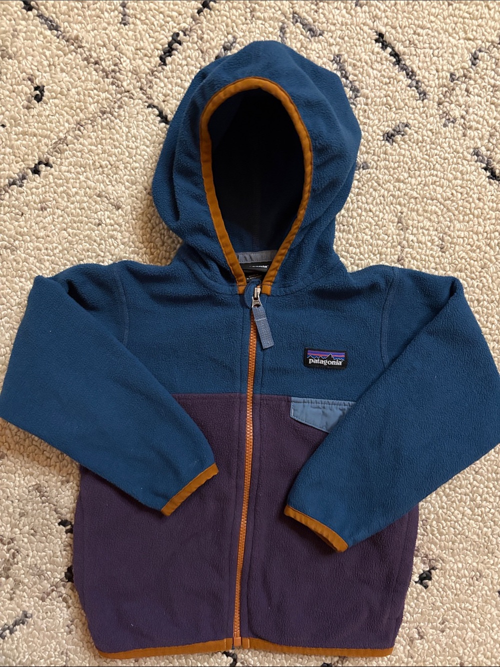Patagonia Kids Fleece Jacket (2T) EUC